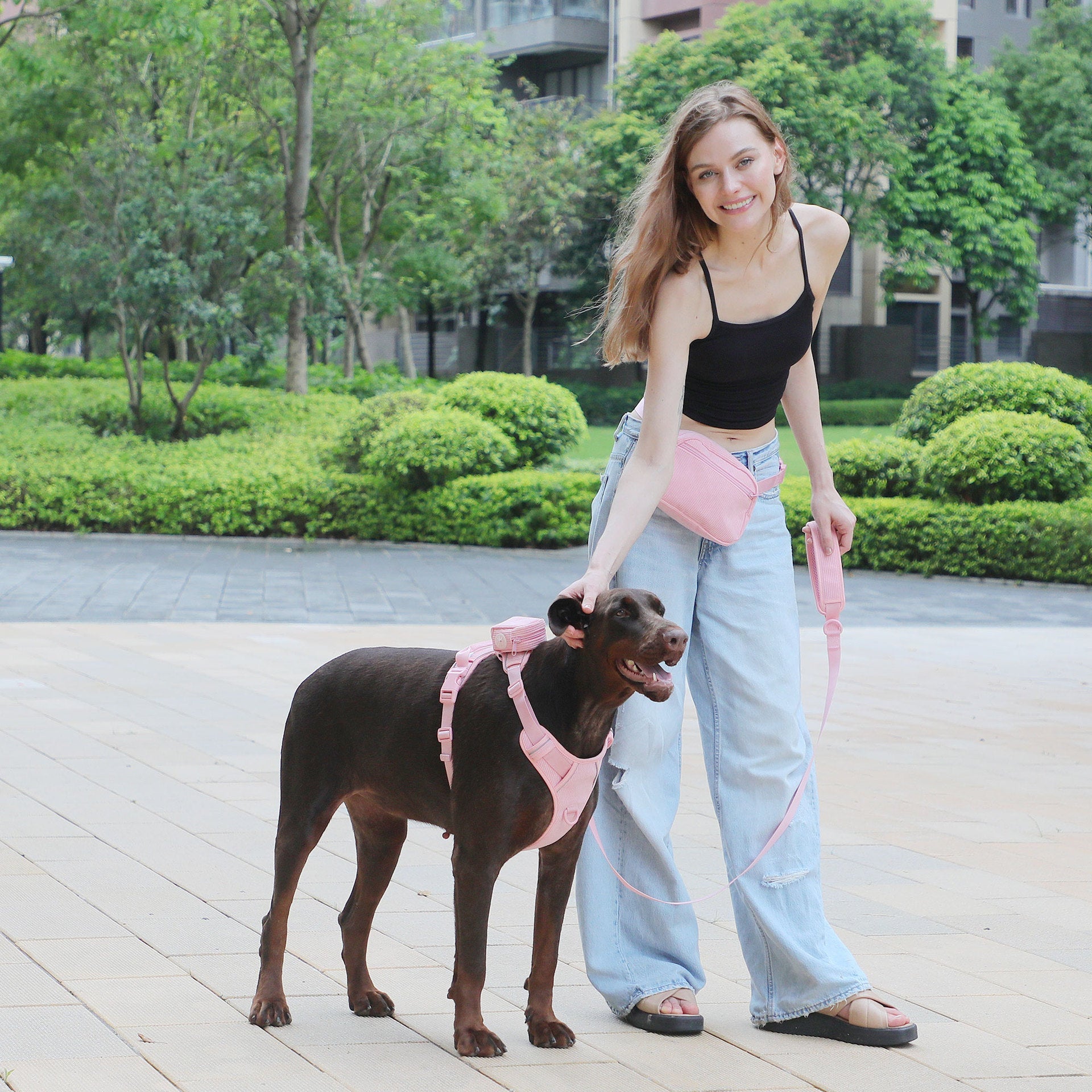 KFX-1209661 Cherry Blossom Pink Corduroy Pet Walking Set with Collar, Leash, Chest Harness & Mini Backpack