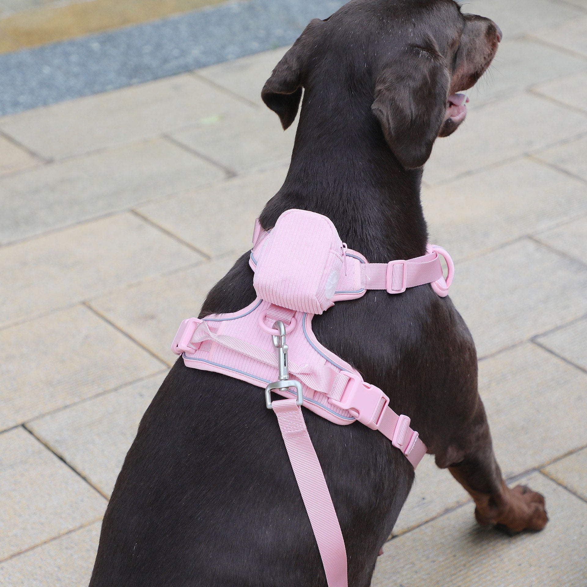 KFX-1209661 Cherry Blossom Pink Corduroy Pet Walking Set with Collar, Leash, Chest Harness & Mini Backpack