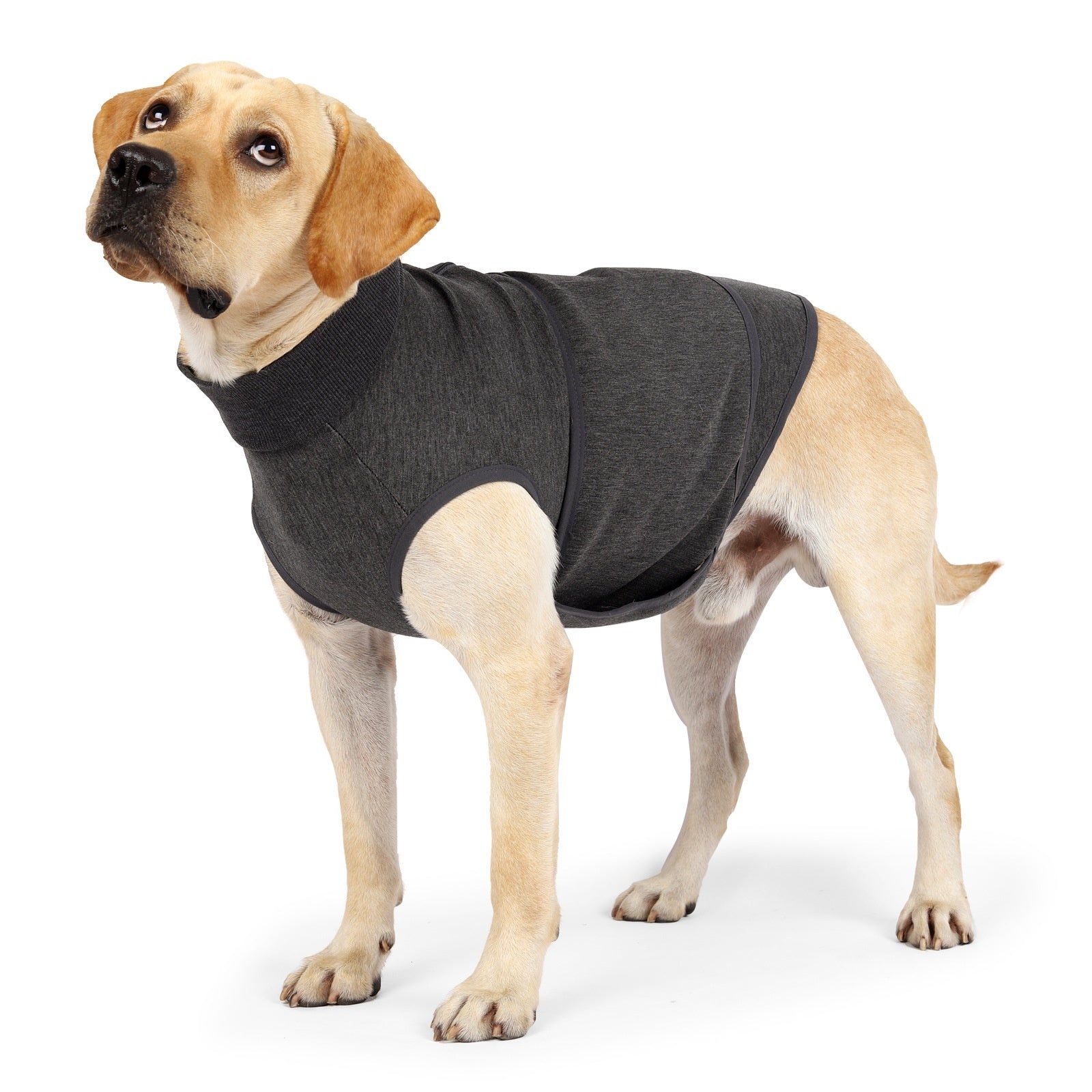 KFX-1212733 Pet Mood Soothing Clothes - Gray Comfort Apparel for Dogs and Cats in Various Sizes