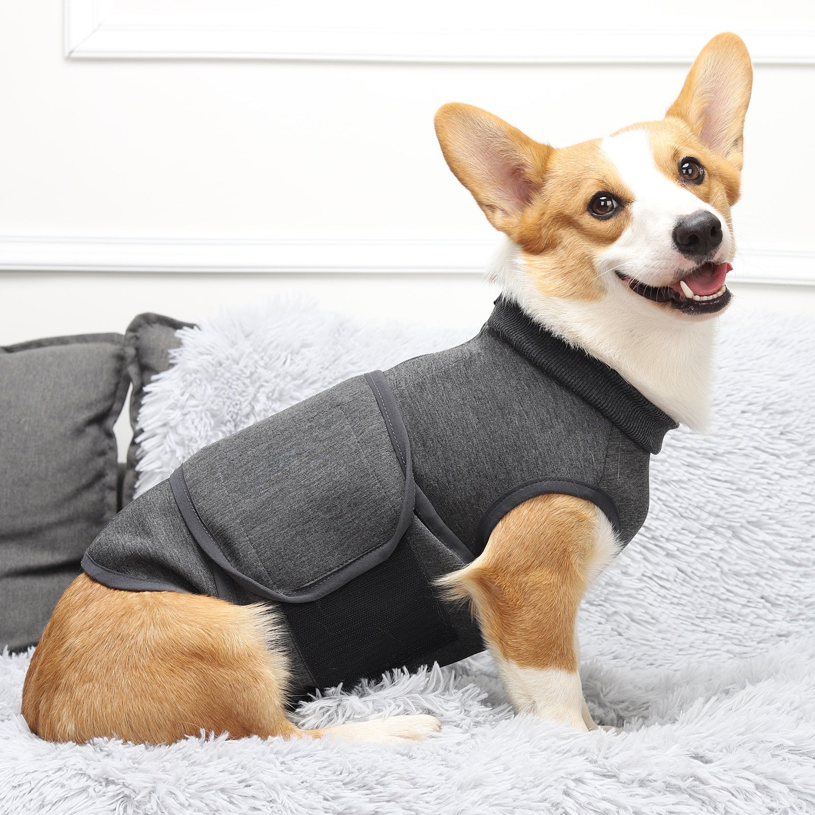 KFX-1212733 Pet Mood Soothing Clothes - Gray Comfort Apparel for Dogs and Cats in Various Sizes