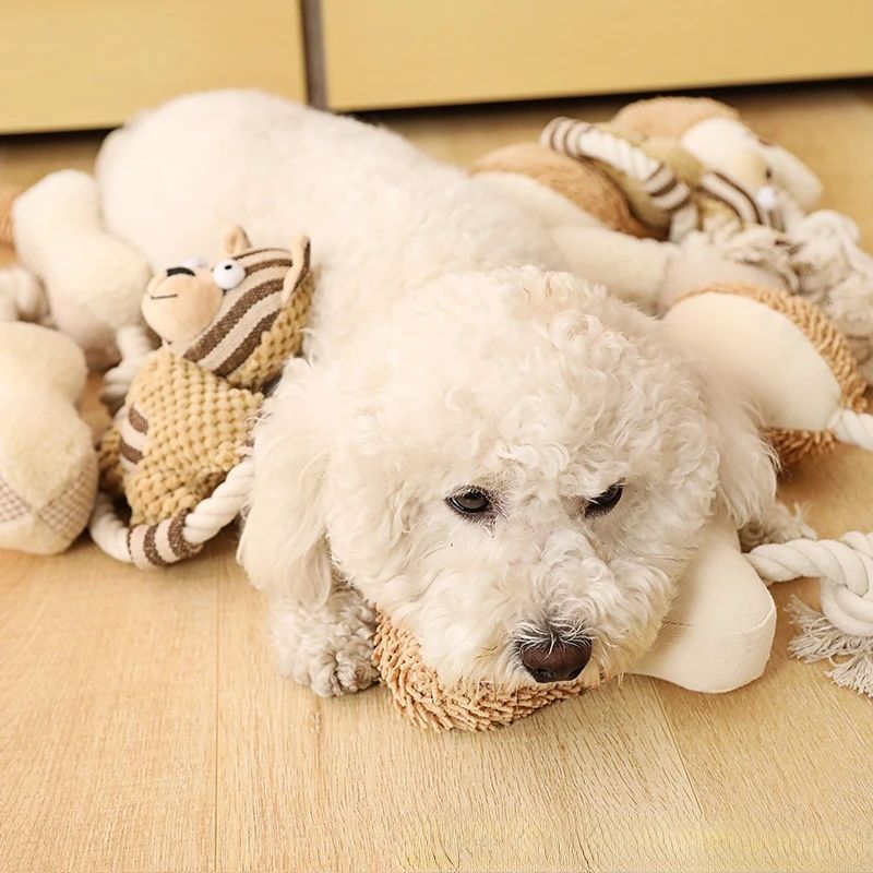 KFX-1222845 Durable Cotton Rope Dog Toy with Sound, Molar Teeth Cleaning & Knot Training Features