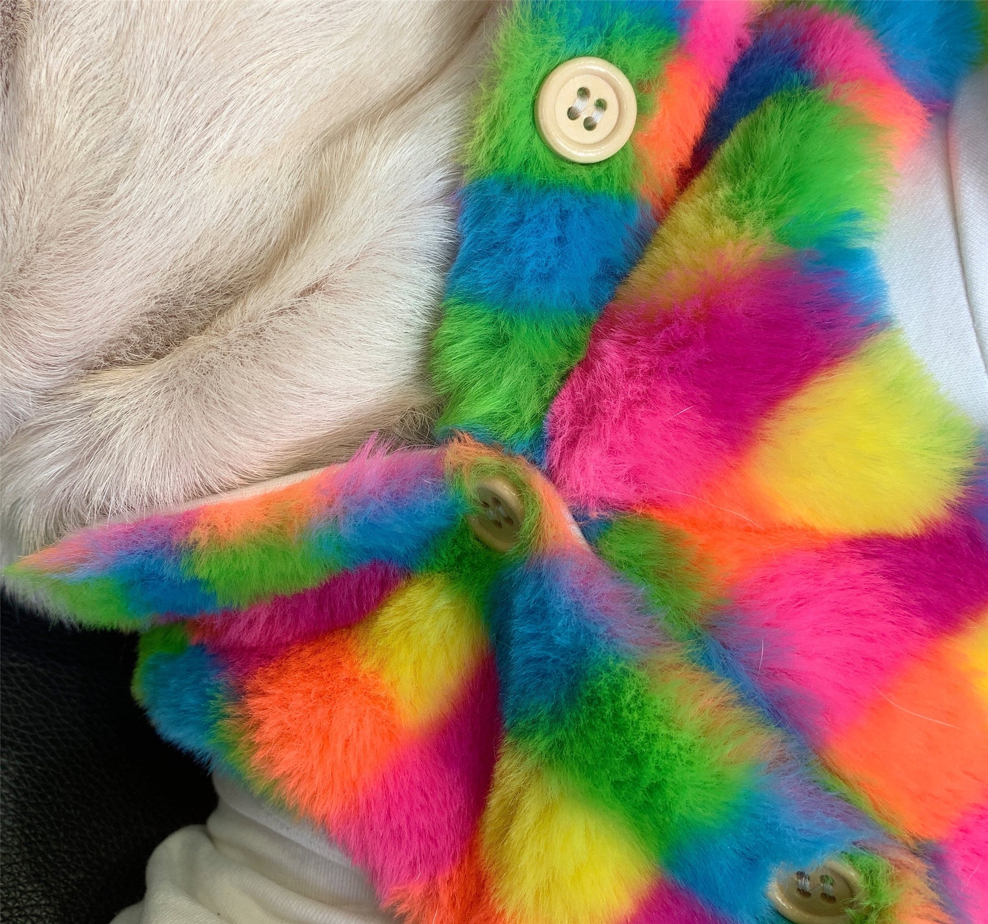 KFX-1227325 Cozy Rainbow Plaid Plush Vest for Dogs - Ideal for Autumn and Winter, Available in Multiple Sizes