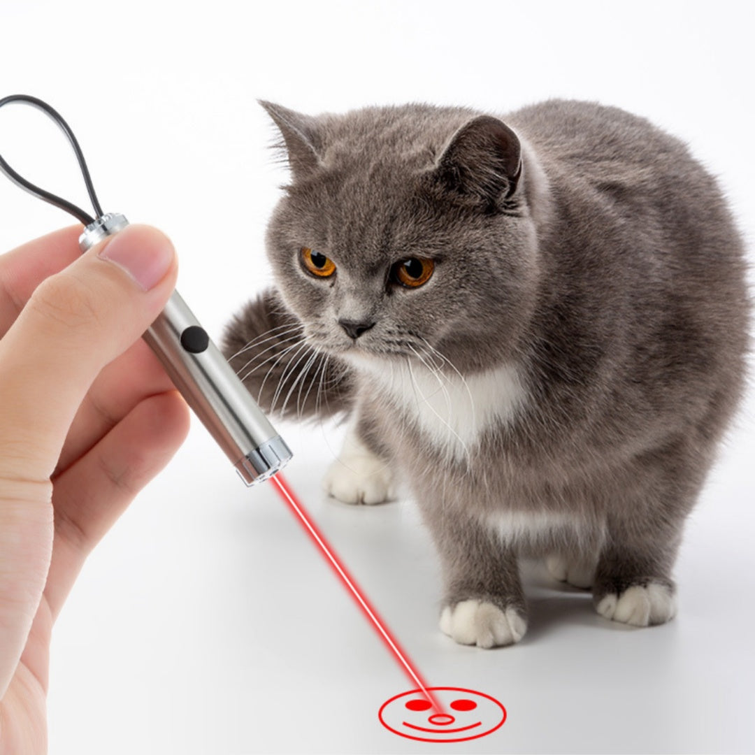 KFX-1229757 Laser Pattern Cat Pen Toy for Fun Interactive Play