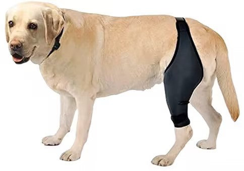 KFX-1231549 Rehabilitation Training Belt for Tear Protection in Sports Activities