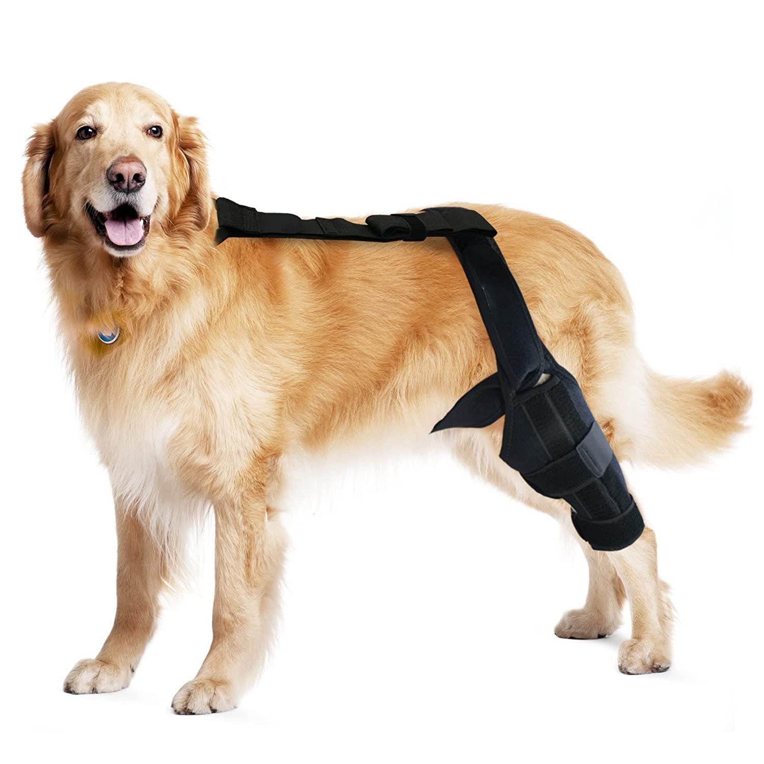 KFX-1231549 Rehabilitation Training Belt for Tear Protection in Sports Activities