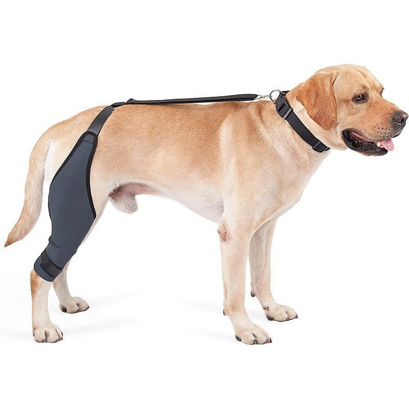 KFX-1231549 Rehabilitation Training Belt for Tear Protection in Sports Activities