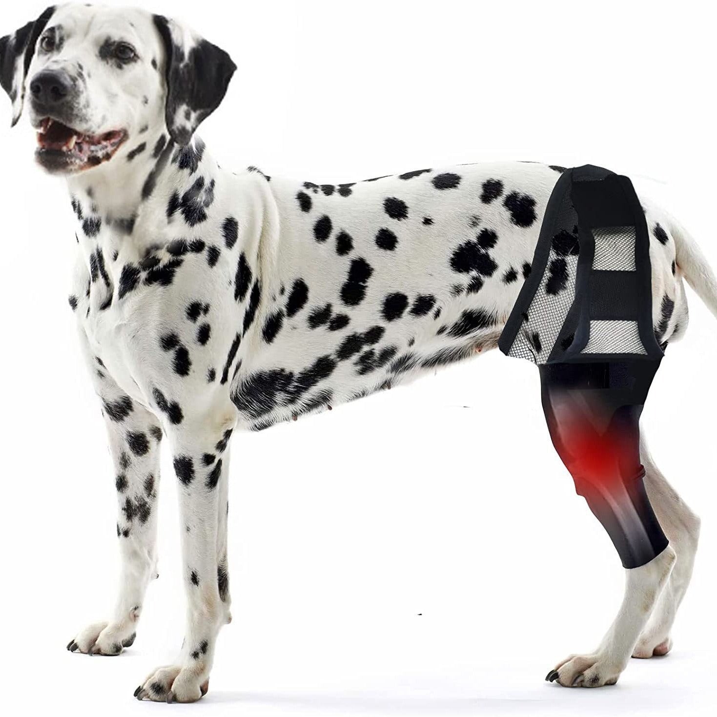 KFX-1231549 Rehabilitation Training Belt for Tear Protection in Sports Activities