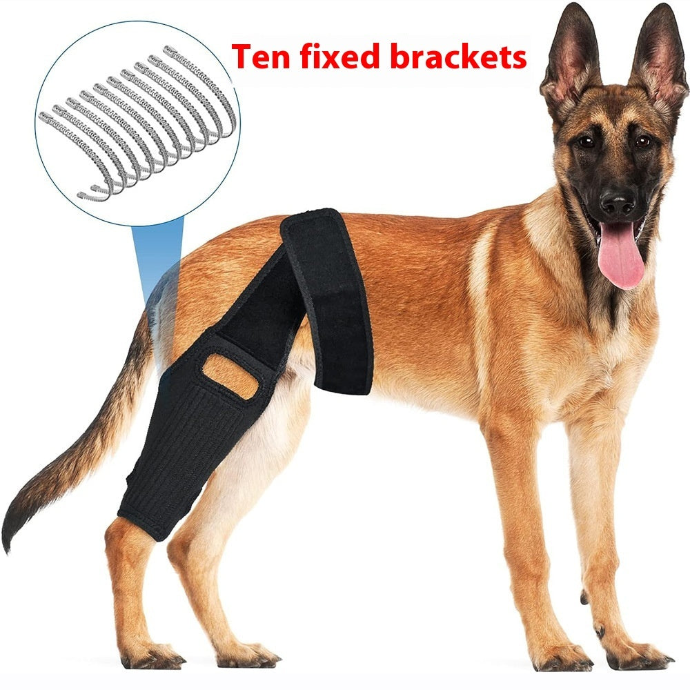 KFX-1231549 Rehabilitation Training Belt for Tear Protection in Sports Activities