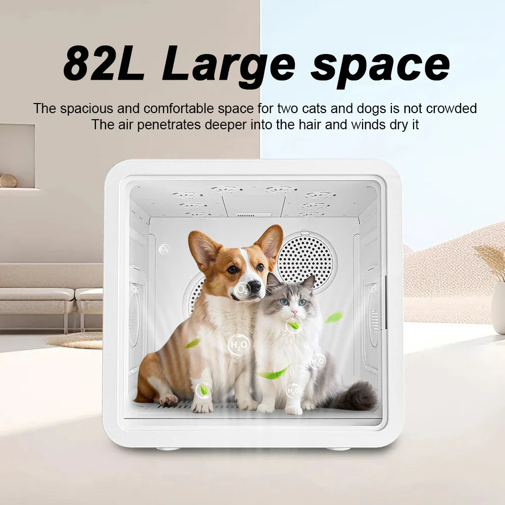 KFX-123219 Temperature Controlled Quiet Pet Dryer Box for Small Dogs and Cats - 110-240V ABS Plastic