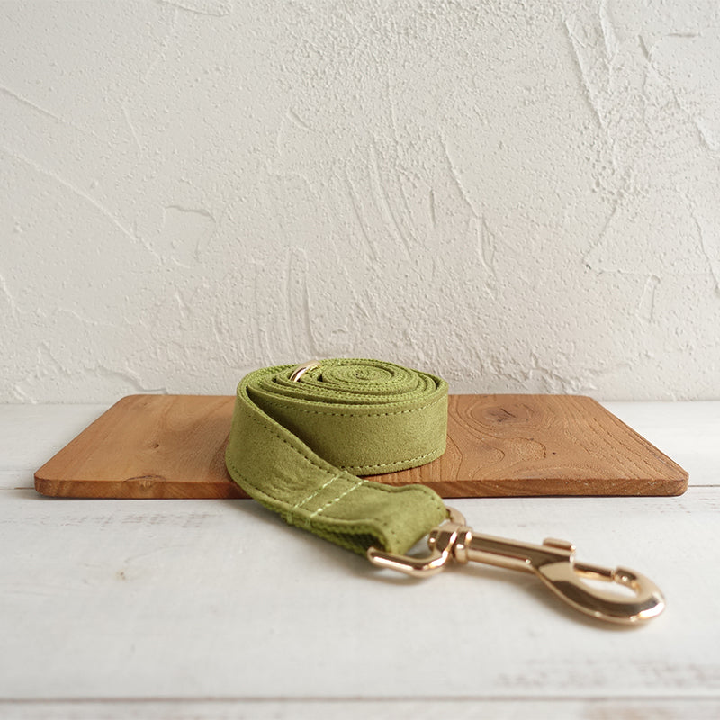 KFX-1236669 Comfortable Green Polyester Fiber Dog Collar & Leash Set - All Season Sizes XS to XL