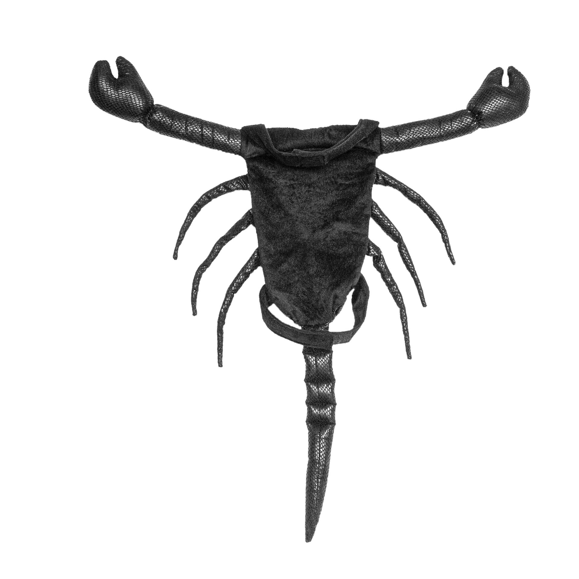 KFX-1237053 Scorpion Halloween Costume for Cats, Black Pet Apparel, Fun Party Outfit