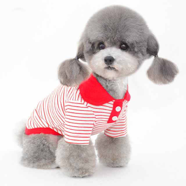 KFX-1238845 Colorful Striped Polo Shirt for Pets - Cotton/Spandex Blend