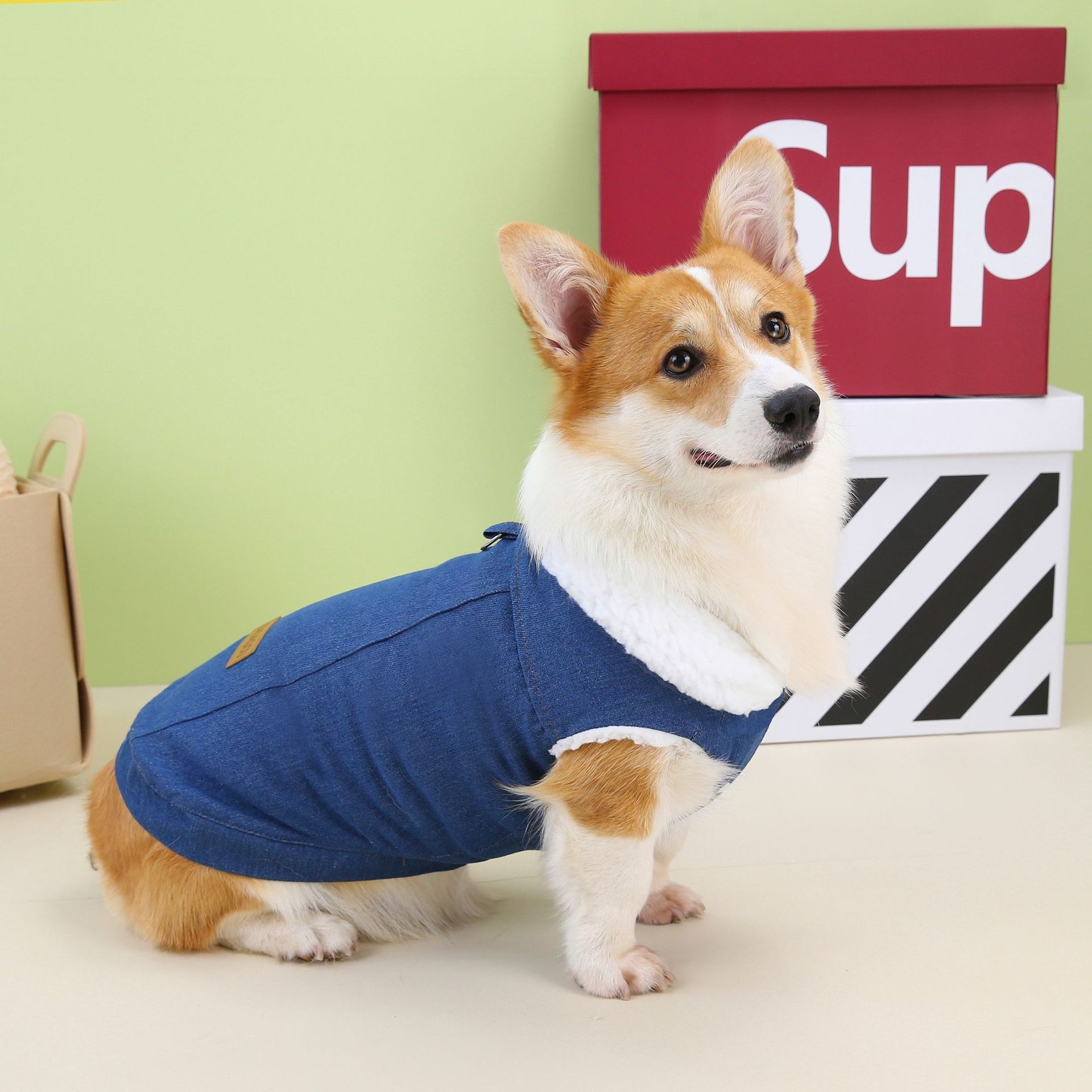 KFX-1239101 Denim Cotton Dog Coat in Dark Blue and Light Blue for Corgis, Available in Multiple Sizes
