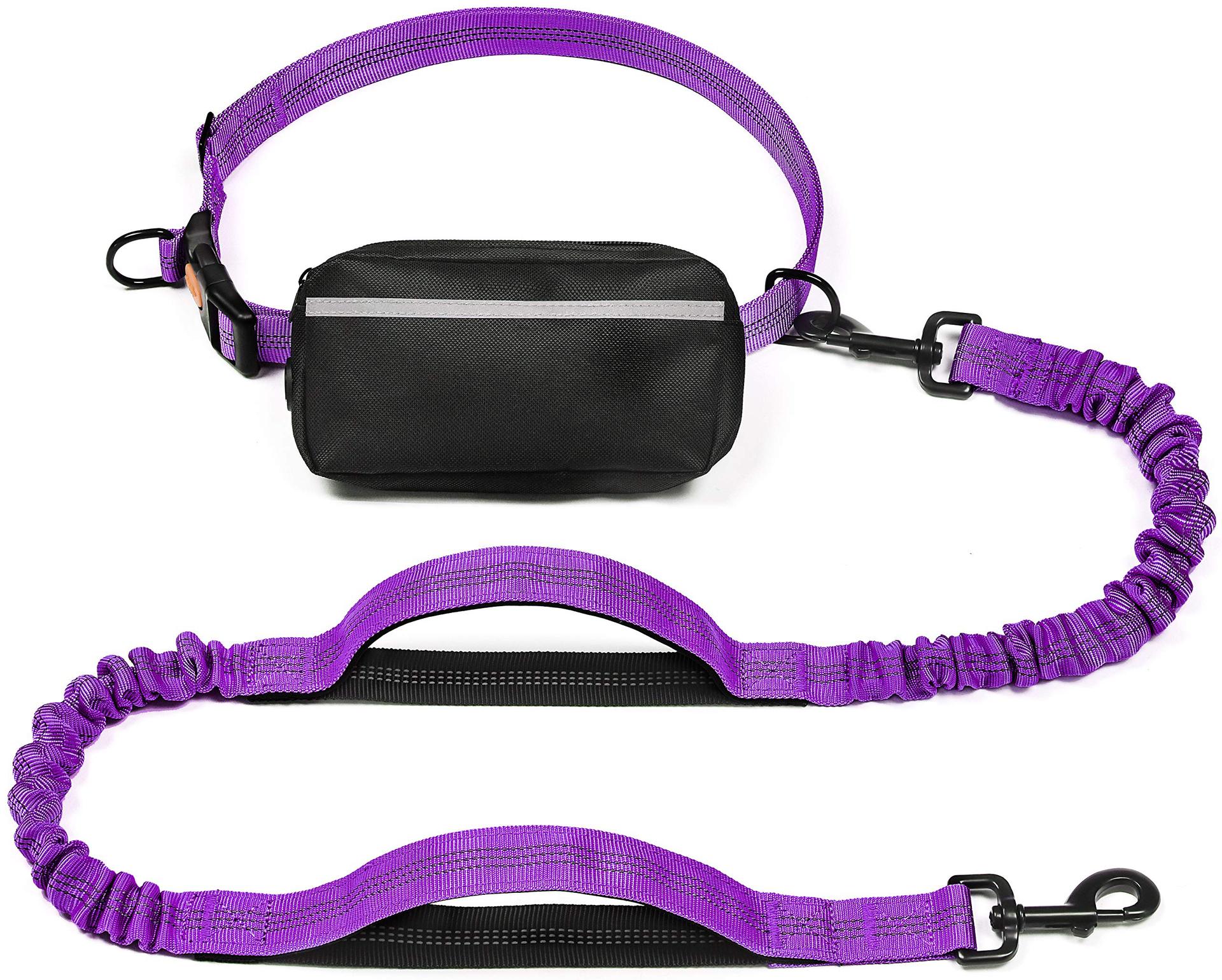 KFX-1244221 Multi-functional Reflective Dog Leash with Waist Pack and Stretch Rope in Multiple Colors