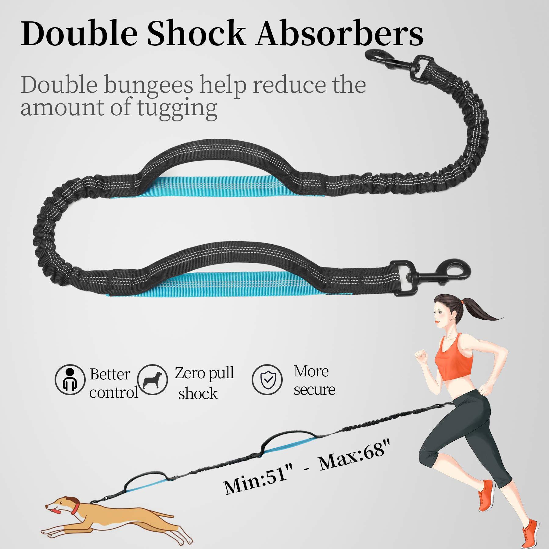 KFX-1244221 Multi-functional Reflective Dog Leash with Waist Pack and Stretch Rope in Multiple Colors