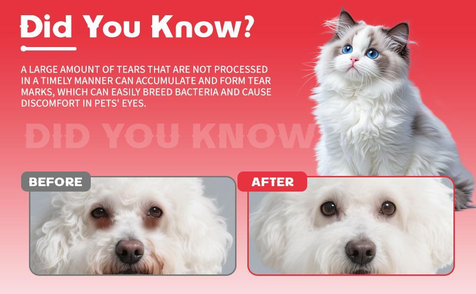 KFX-1248061 Pet Tear Stain Removal Powder for Gentle Eye and Fur Care, Natural Formula for Brightening and Cleaning