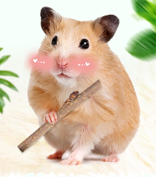 KFX-1248829 Natural Wood Hamster Chewing Toy - Teeth Cleansing Branch Snacks 50G
