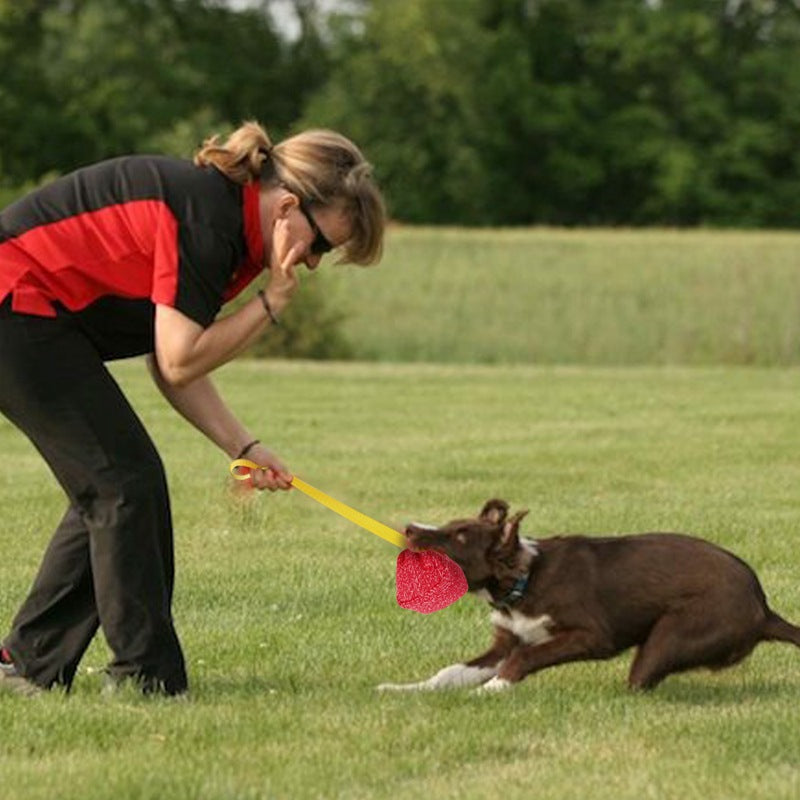 KFX-1251005 Durable Interactive Dog Biting Pillow with Comfortable Rope Handle for Training