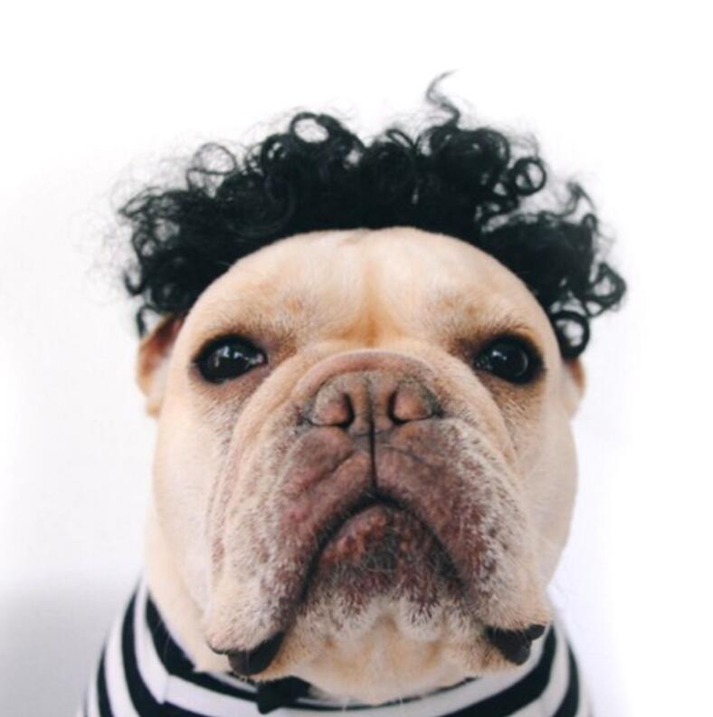 KFX-1252029 Pet Funny Wig Headgear in Black Explosive, Red Explosive, and Ruth Braid Styles