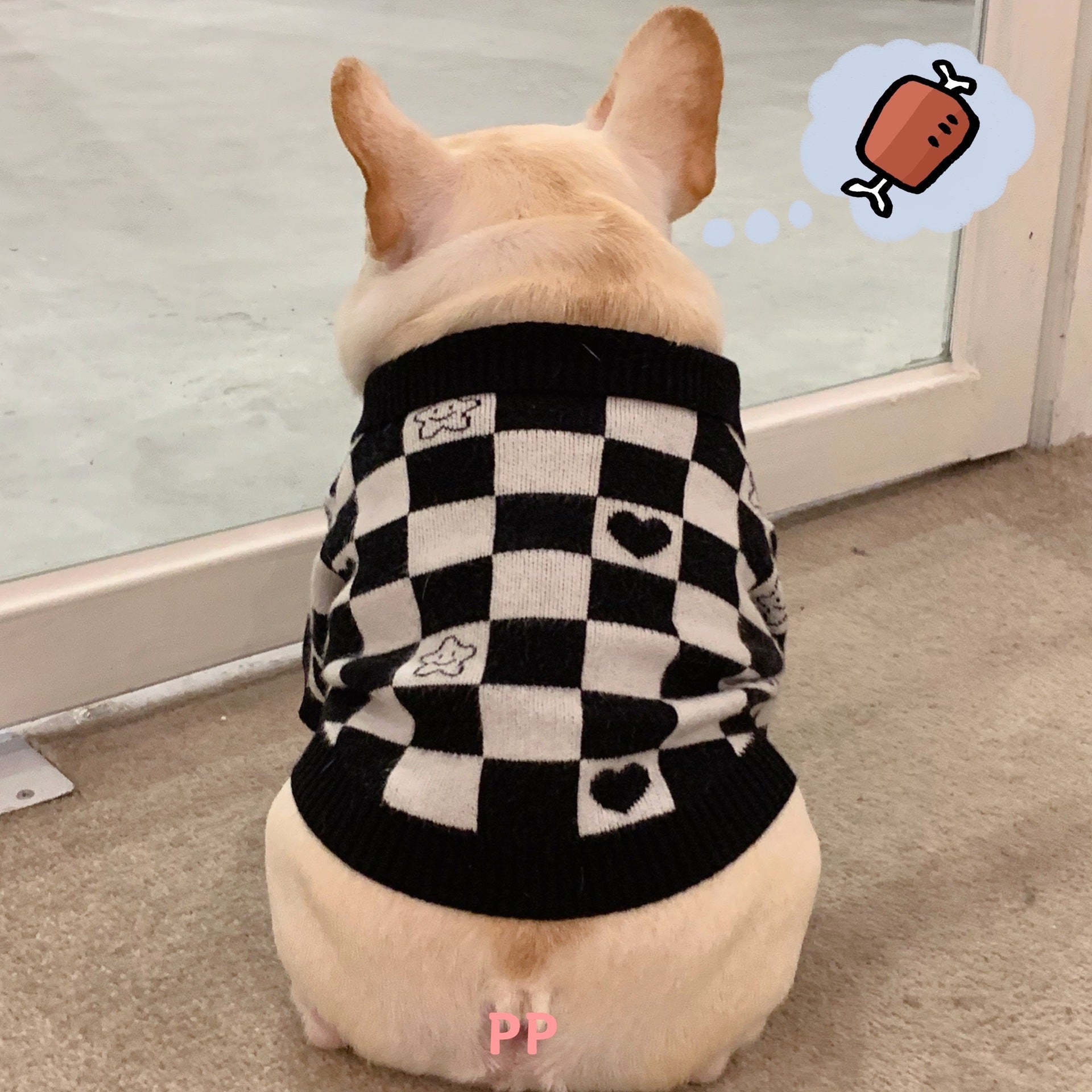 KFX-1253949 Schnauzer Kitten Winter Sweater in Fashionable Black Wool with Grid Design