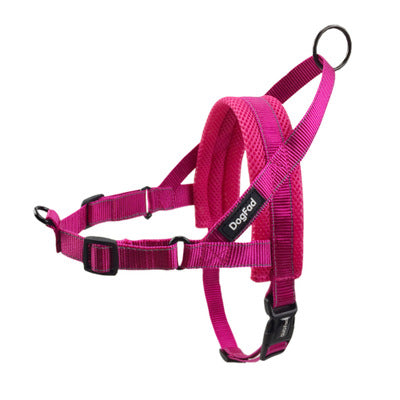 KFX-1255741 Adjustable Dog Harness and Leash Set for Outdoor Walking - Durable Chest and Back Traction Rope