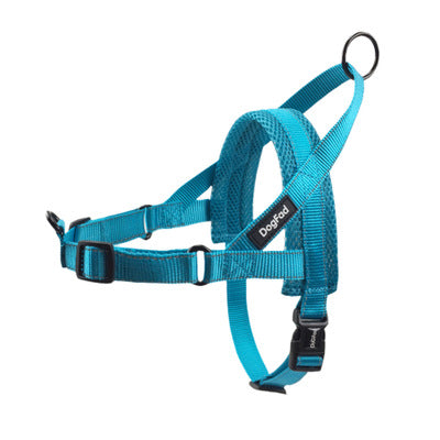 KFX-1255741 Adjustable Dog Harness and Leash Set for Outdoor Walking - Durable Chest and Back Traction Rope