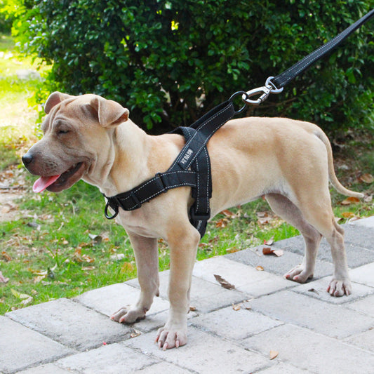 KFX-1255741 Adjustable Dog Harness and Leash Set for Outdoor Walking - Durable Chest and Back Traction Rope