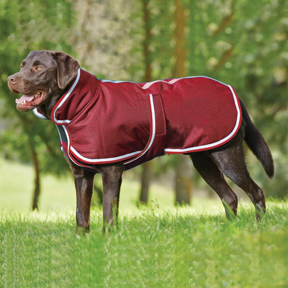 KFX-1260093 Waterproof Casual Jacket for Pets - Autumn and Winter Warmth in Red and Gray