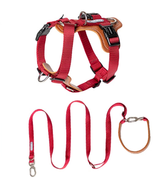KFX-1263165 Multifunctional Double Pull Dog Leash and Chest Strap Set - Nylon and PVC Leather, 0-40kg Pets