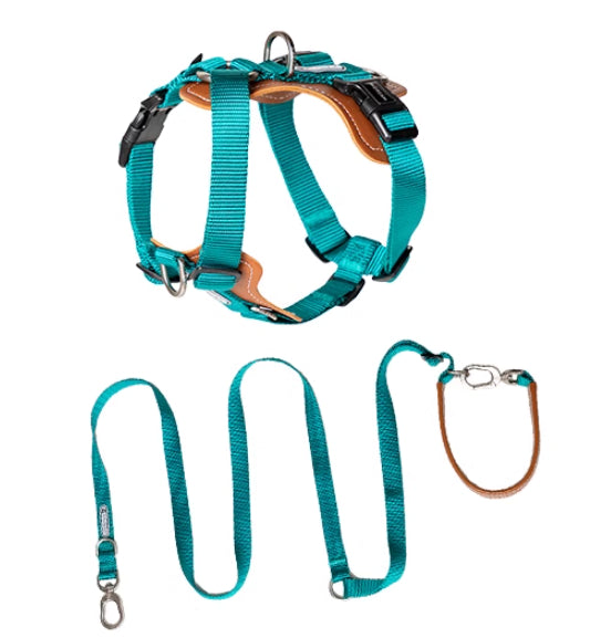 KFX-1263165 Multifunctional Double Pull Dog Leash and Chest Strap Set - Nylon and PVC Leather, 0-40kg Pets