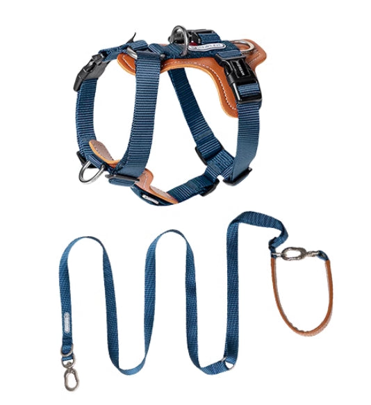 KFX-1263165 Multifunctional Double Pull Dog Leash and Chest Strap Set - Nylon and PVC Leather, 0-40kg Pets
