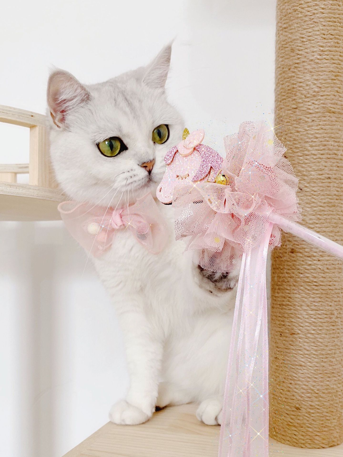 KFX-1263677 Flower Bow Pearl Flower Adjustable Cat Dog Bow Tie Collar with Safety Buckle