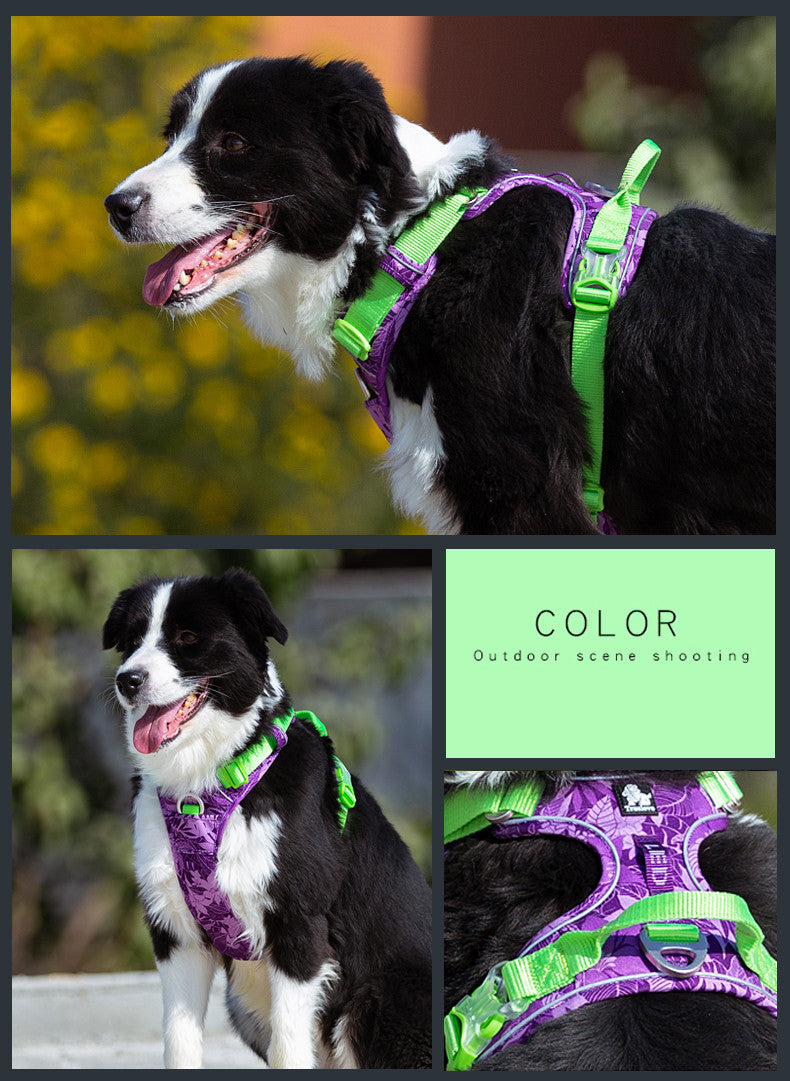 KFX-1266749 Durable Nylon Dog Leash with Aluminum Alloy Chain and Vest Straps