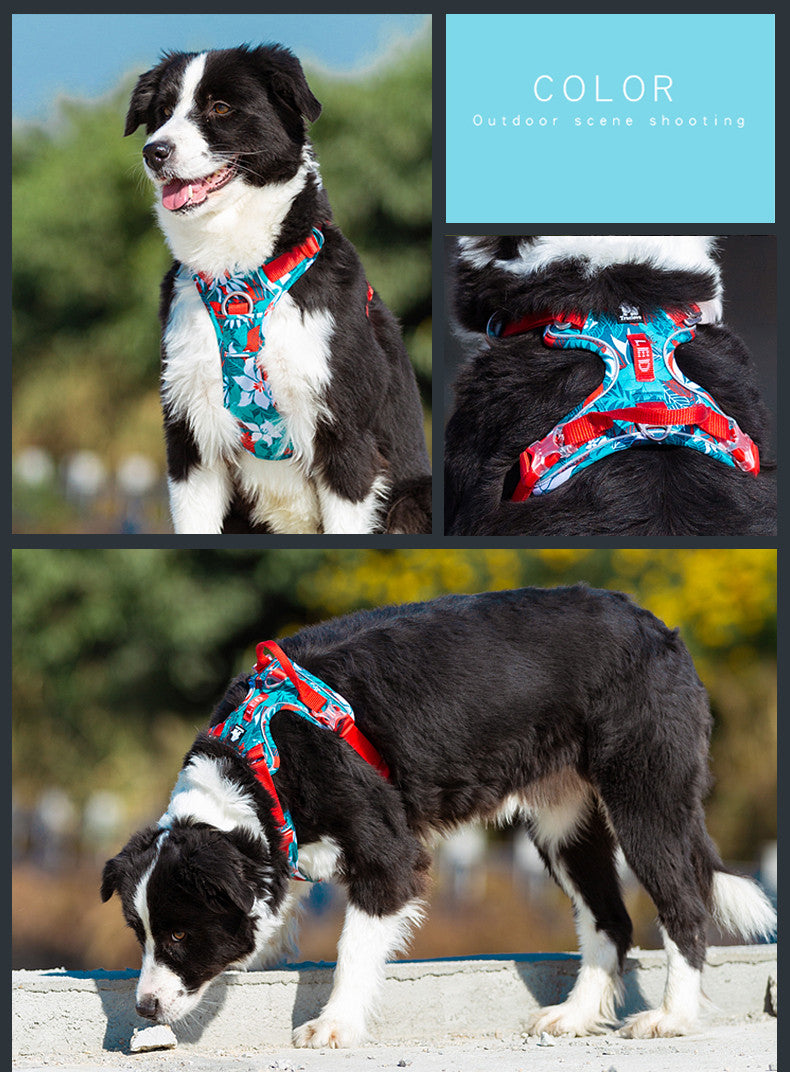 KFX-1266749 Durable Nylon Dog Leash with Aluminum Alloy Chain and Vest Straps