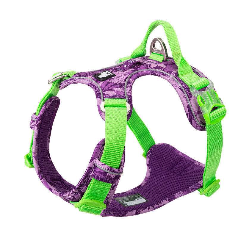 KFX-1266749 Durable Nylon Dog Leash with Aluminum Alloy Chain and Vest Straps