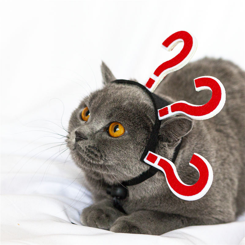KFX-1272253 Cat Braids Headgear - Funny Village Girl Question Mark Design, Casual Acrylic Accessory