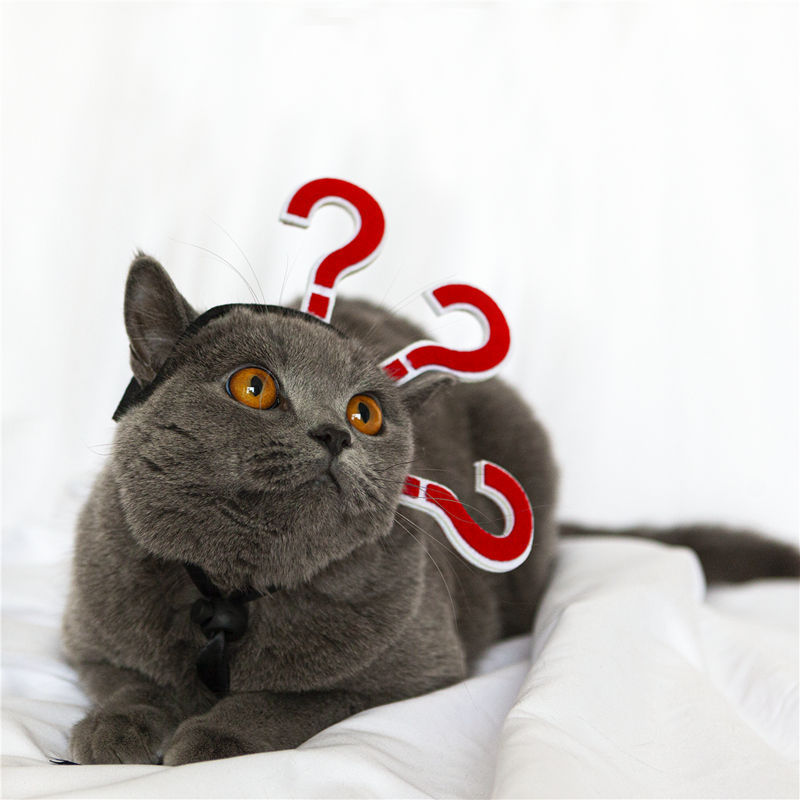 KFX-1272253 Cat Braids Headgear - Funny Village Girl Question Mark Design, Casual Acrylic Accessory
