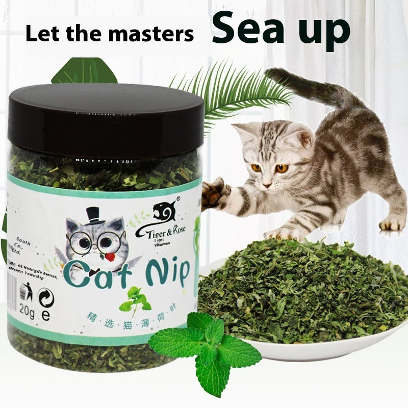 KFX-1273277 Catnip Tea Powder for Cats - 20g Bottle, 280ml Size, 12-Month Shelf Life