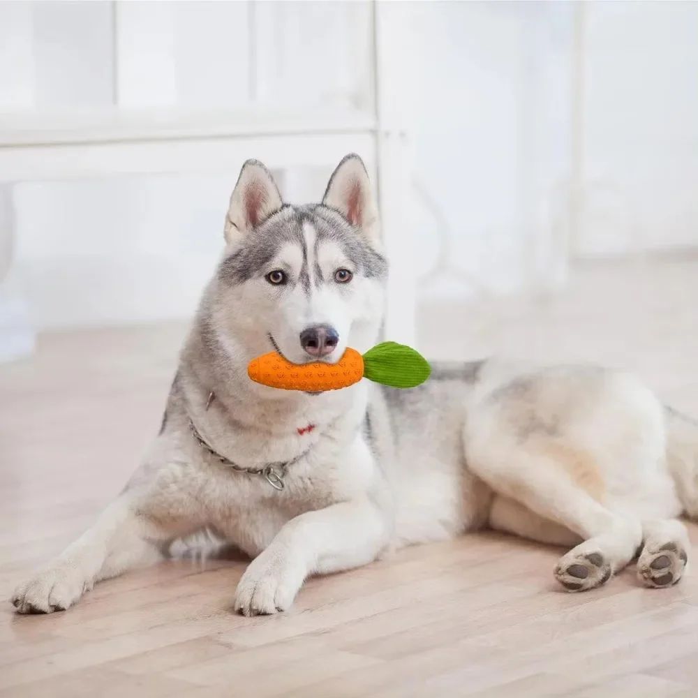 KFX-1275837 Durable Rubber and Plush Carrot Dog Chew Toy for Tooth Health and Playtime Fun