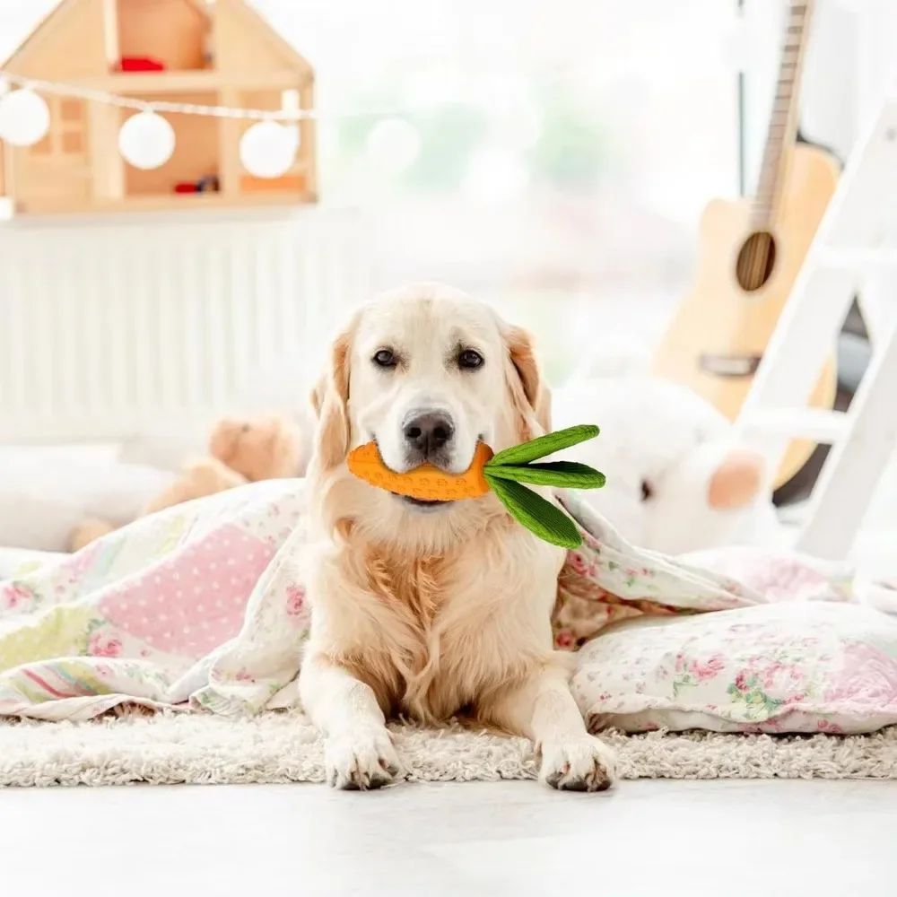 KFX-1275837 Durable Rubber and Plush Carrot Dog Chew Toy for Tooth Health and Playtime Fun