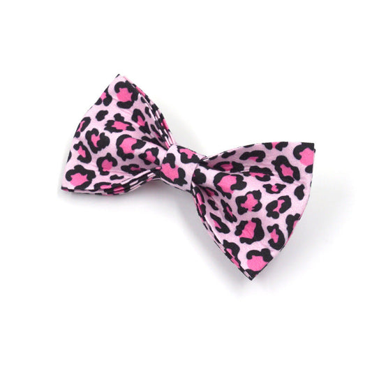 KFX-1276989 Leopard Print Rose Gold Pet Collar with Matching Leash and Bow