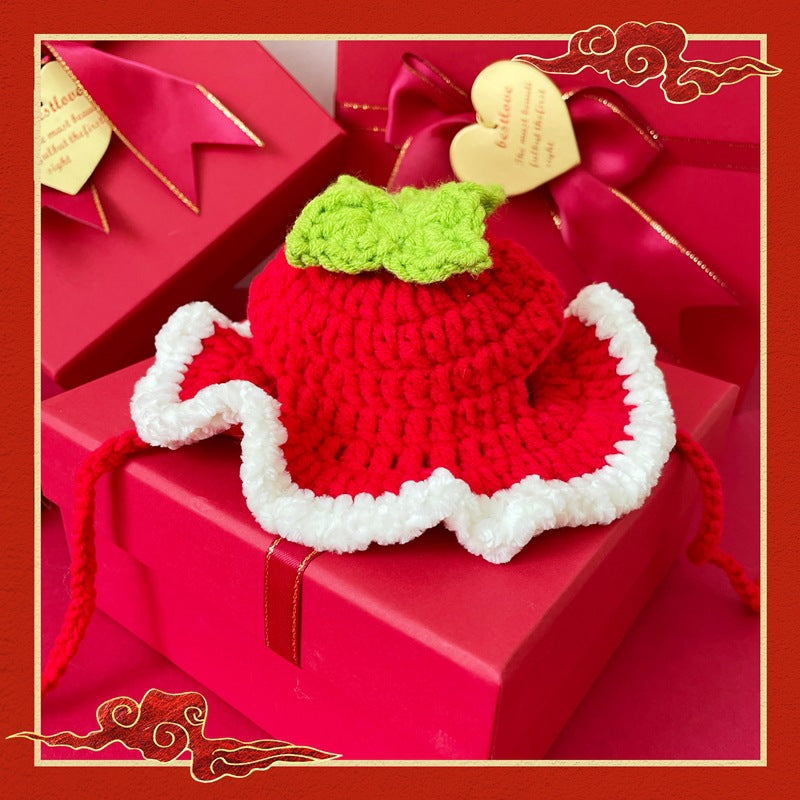 KFX-1292861 Festive Winter Pet Hats for Cats and Dogs – Tiger, Fruit, Frog Designs