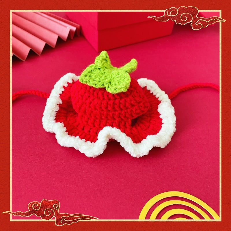 KFX-1292861 Festive Winter Pet Hats for Cats and Dogs – Tiger, Fruit, Frog Designs