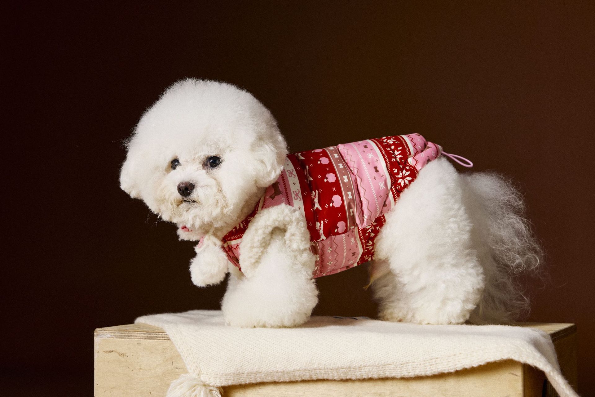 KFX-1299005 Light Pink Bichon Schnauzer Teddy Vest for Pets - Soft 90% Duck Down Insulated Clothing in Multiple Sizes