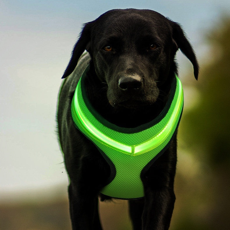 KFX-1299517 USB Rechargeable LED Dog Harness with Reflective Features - Pet Safety Chest Strap for Day and Night Use