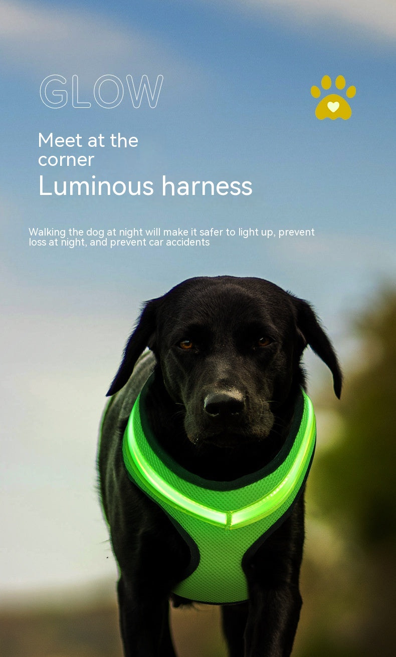 KFX-1299517 USB Rechargeable LED Dog Harness with Reflective Features - Pet Safety Chest Strap for Day and Night Use