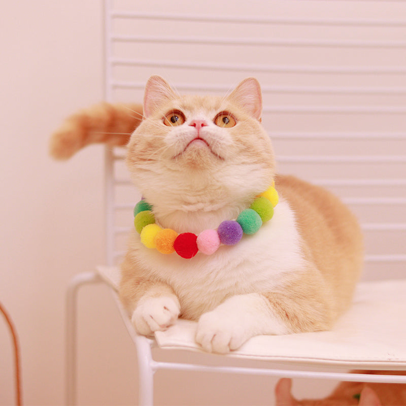 KFX-1302205 Colorful Hair Ball Collar for Cats and Dogs - XS to L