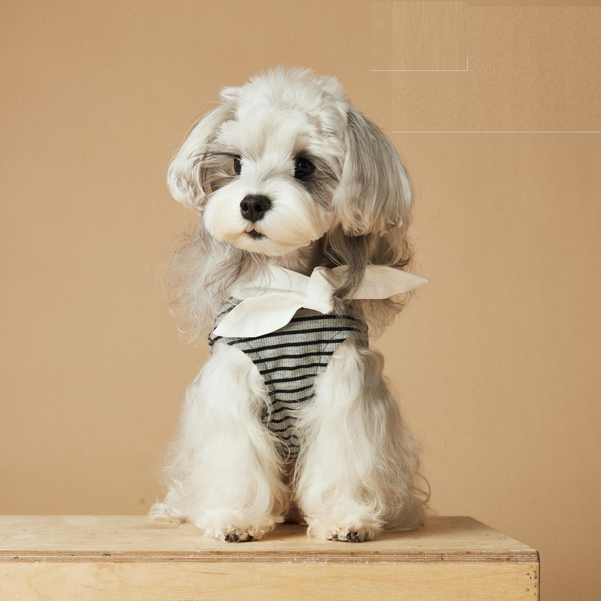 KFX-1305789 Spring and Summer Striped Dress for Dogs, Casual Polyester Pet Clothing in Multiple Sizes