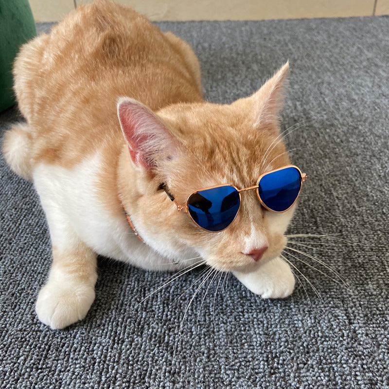 KFX-1307581 Mini Cat Sunglasses in Various Colorful Designs - Ideal for Pet Fashion