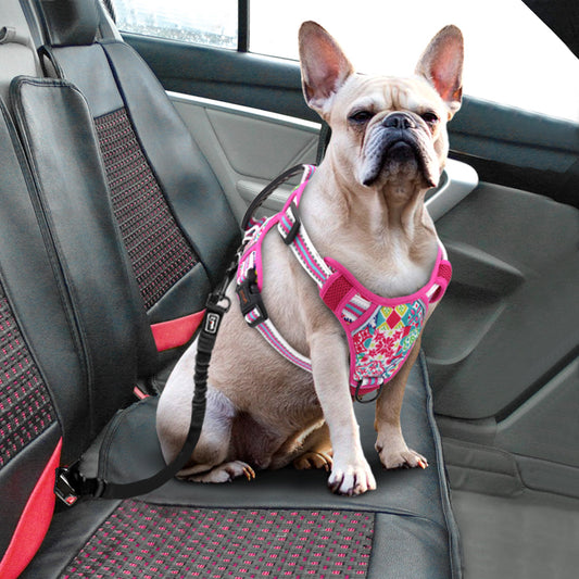 KFX-1309757 Adjustable Dog Leash Chest Harness for Small, Medium, and Large Dogs - Available in Multiple Colors